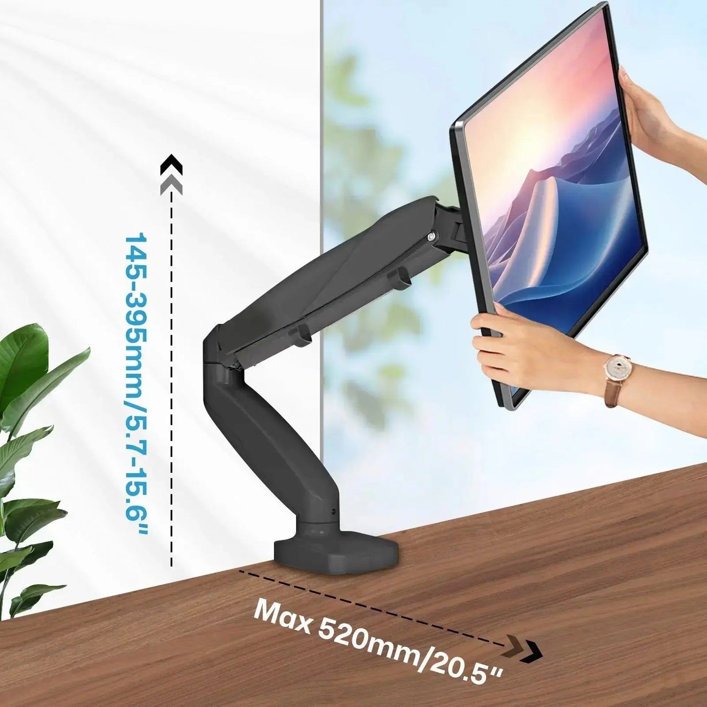 The image shows a monitor arm holding a computer monitor. The arm is mounted on a desk and can be adjusted in height and reach. The height adjustment range is indicated as 145-395mm (5.7-15.6 inches), and the maximum reach of the arm is 520mm (20.5 inches). The image also includes a person adjusting the position of the monitor.