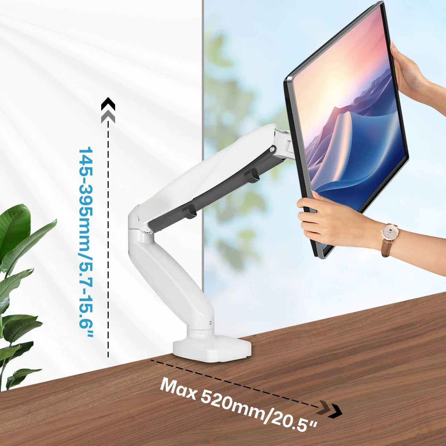 The image shows a monitor arm holding a computer monitor. The arm is mounted on a desk and can be adjusted in height and reach. The height adjustment range is indicated as 145-395mm (5.7-15.6 inches), and the maximum reach of the arm is 520mm (20.5 inches). The image also includes a person adjusting the position of the monitor.