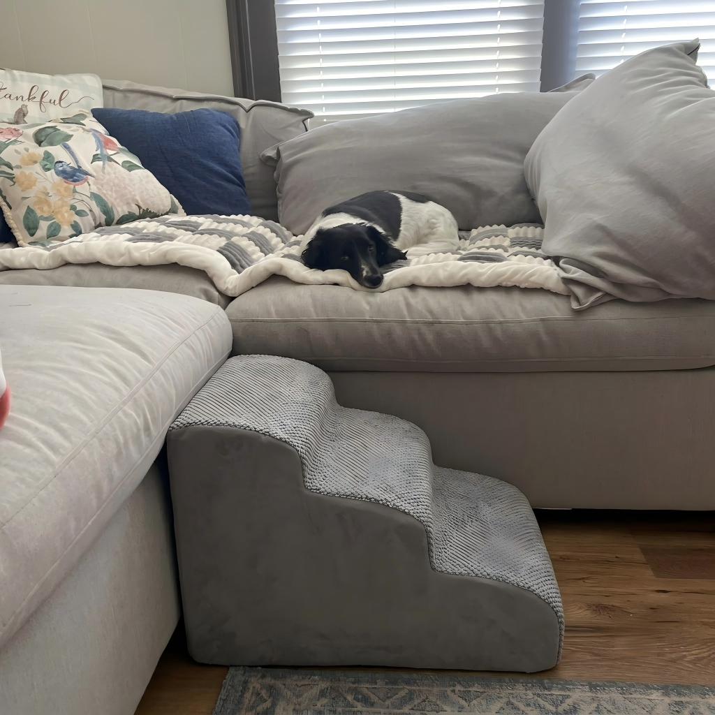 A gray fabric pet step stool placed beside a light gray sectional sofa in a living room, with a black-and-white dog sleeping on a blanket on the sofa.