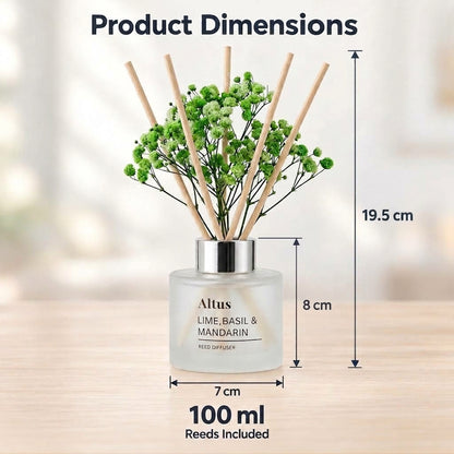 Altus Lime, Basil & Mandarin reed diffuser bottle with wooden reeds and green baby's breath flowers, shown with dimension labels for height, width, and 100 ml capacity on a soft blurred background.