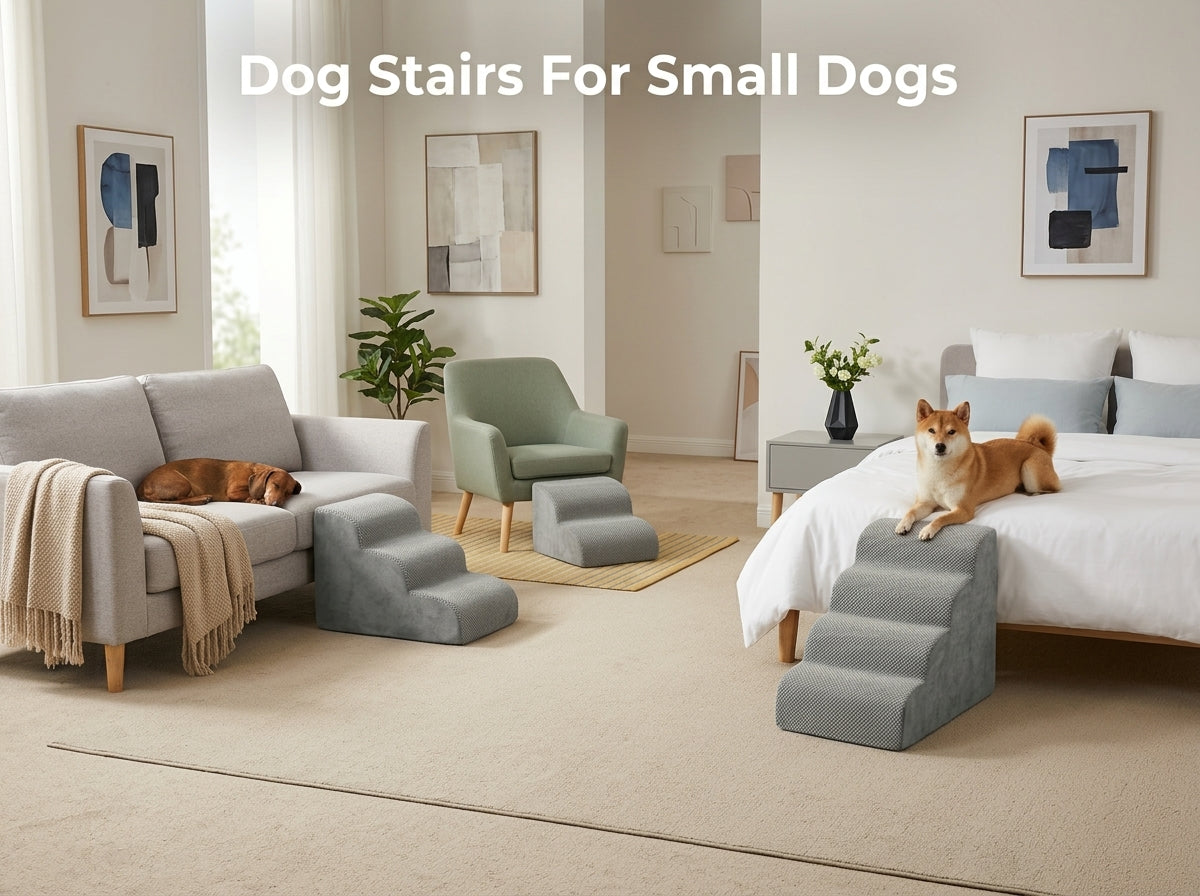 A dog staircase in a staged living room setting, shown with a small dog on and beside it. The scene includes a sofa with a sleeping dog, an armchair, a bed with a sitting dog, and the product itself in gray fabric steps.